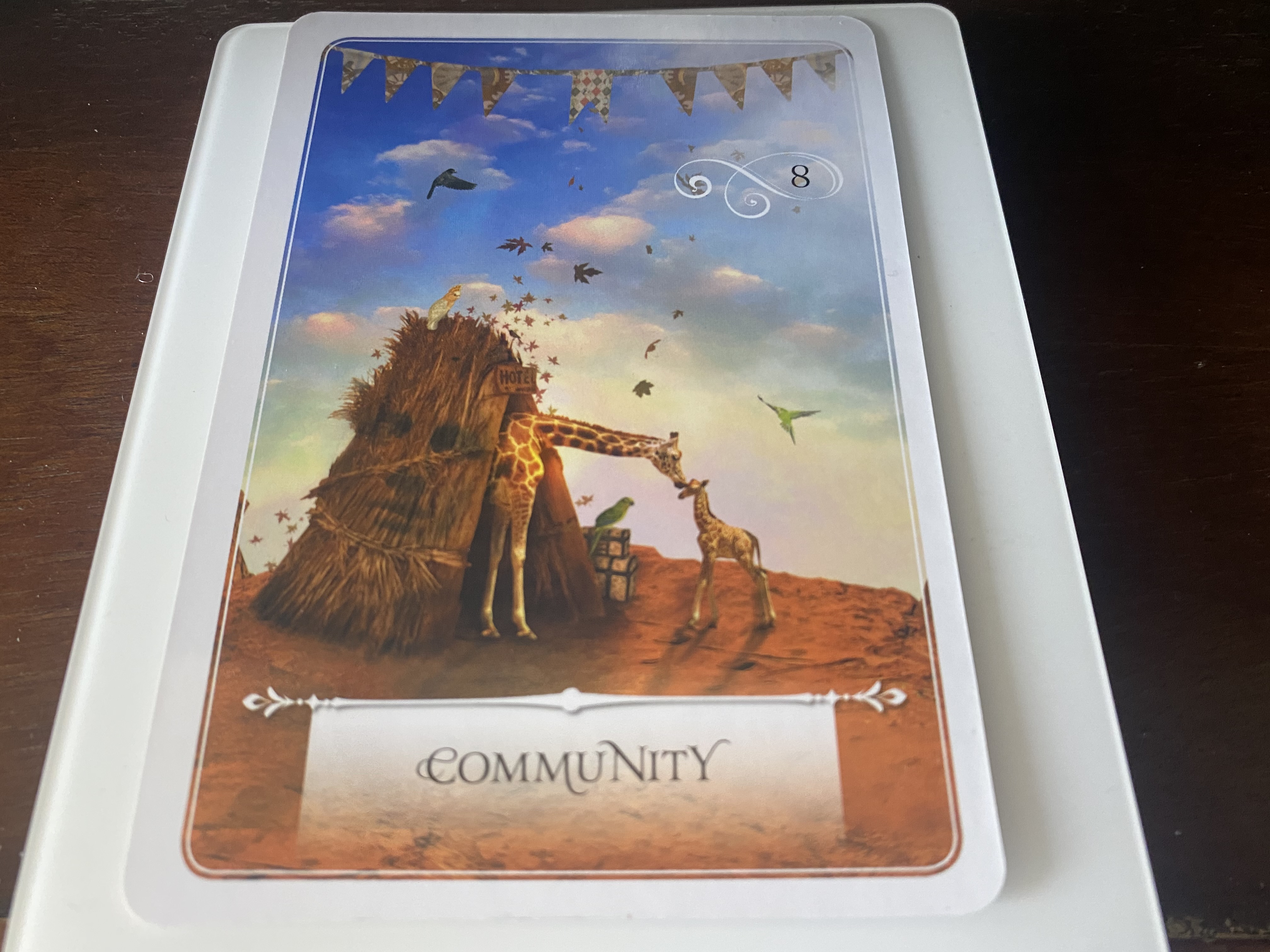 Wisdom of the Oracle Divination Cards 8: Community