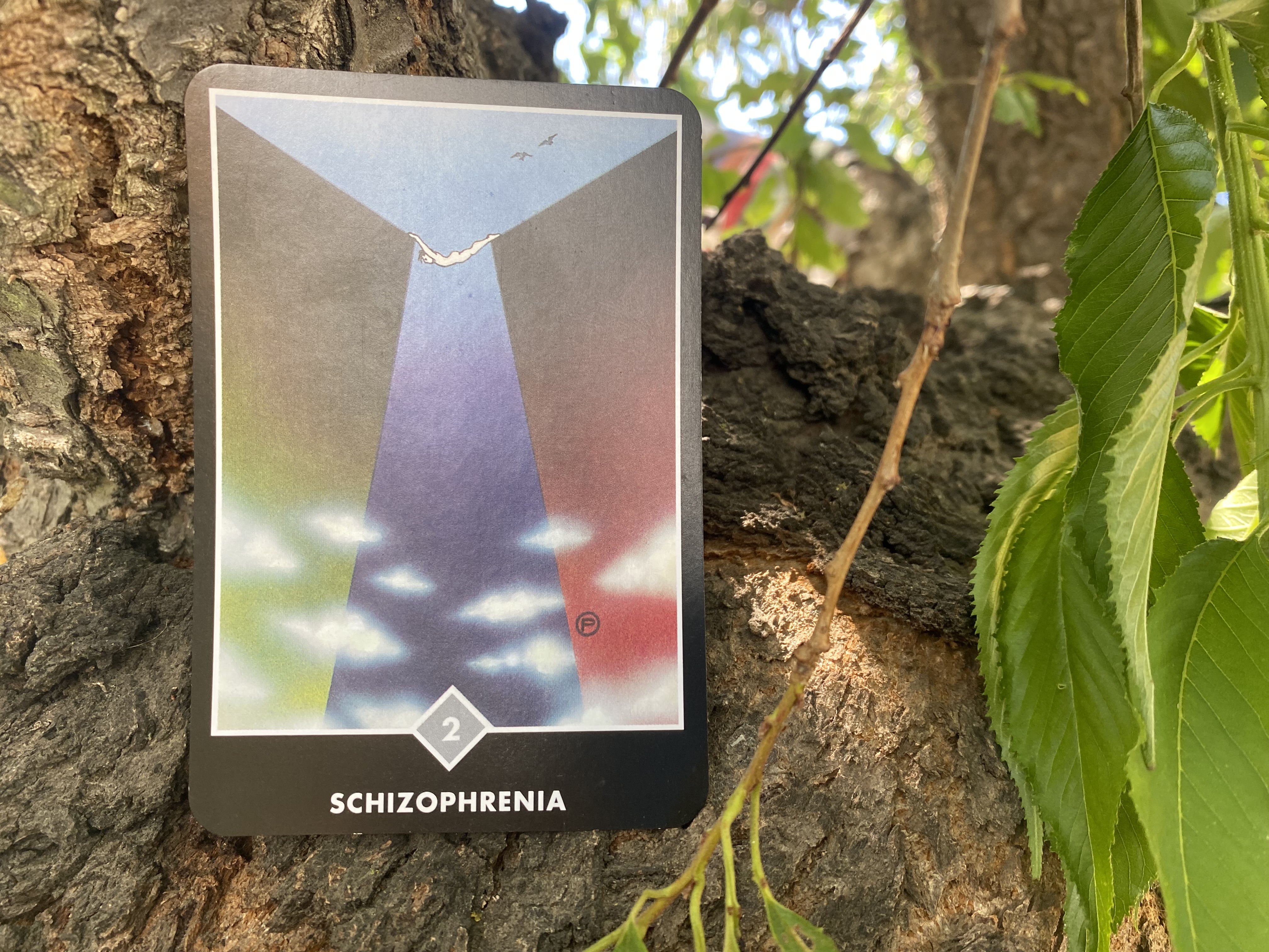 Photo of the OSHO Zen Tarot Decks  2 of Clouds: Schizophrenia