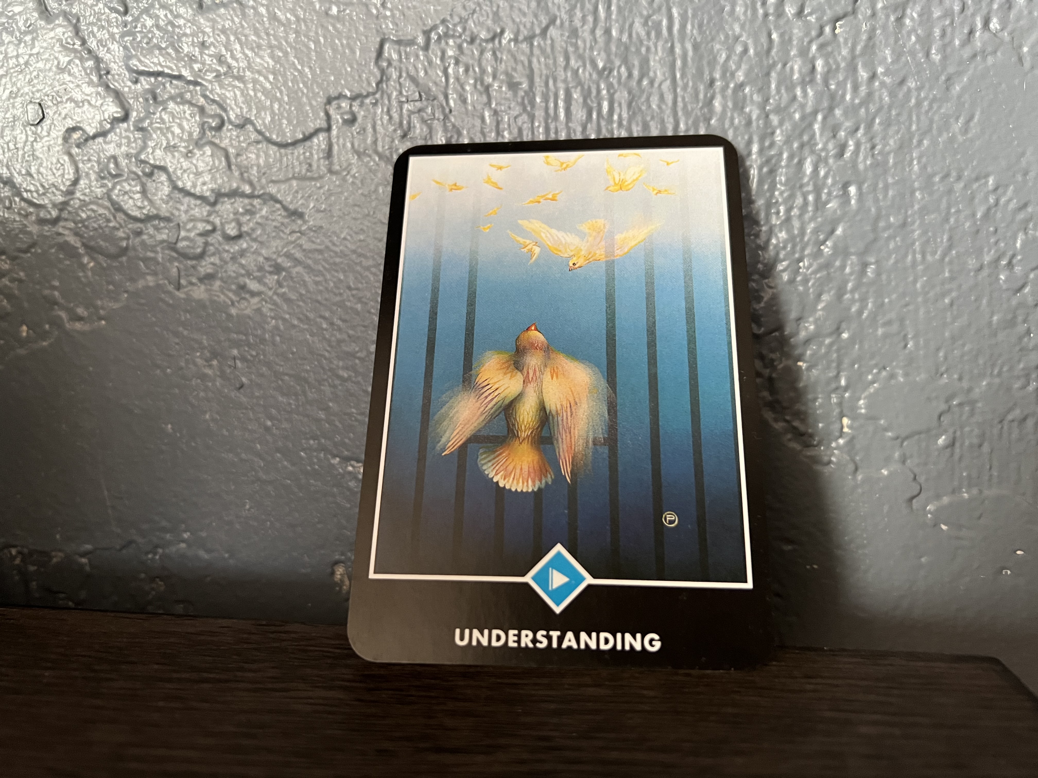 Photo of The Page of Water - Understanding from the OSHO Zen Tarot Deck